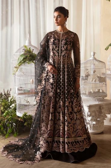 Kaya Embroidered Pakistani Lehenga