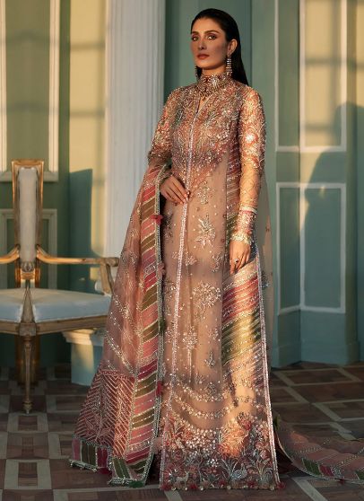 Pakistani Salwar Kameez Buy Designer Pakistani Suits and Dresses
