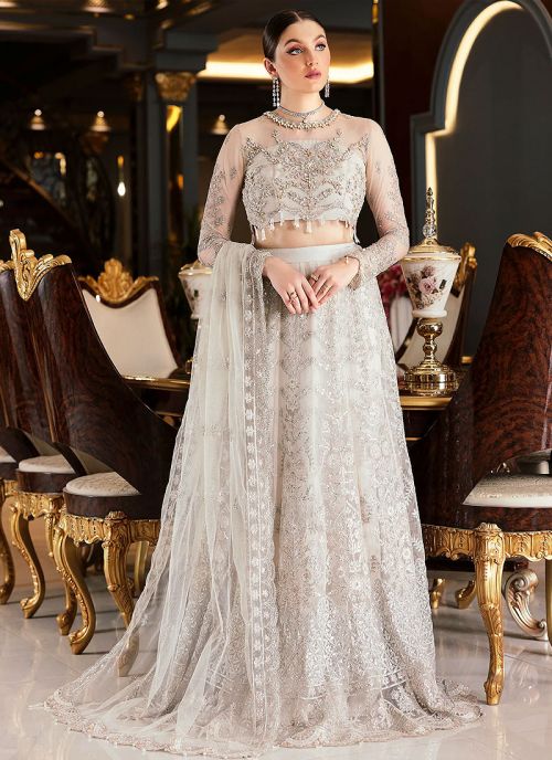 Silver Pakistani Bridal Dress in Gown Lehenga Style | Pakistani bridal  dresses, Pakistani bridal dress, Bridal dresses pakistan