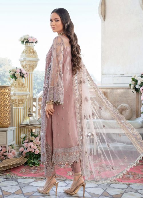 Pakistani catalog store dress 2019